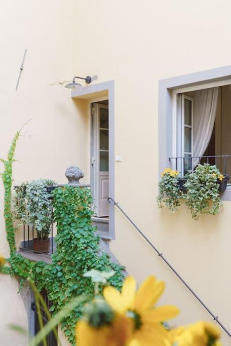 Corte Paolina - Charming Courtyard Inside Lucca Luaran gambar