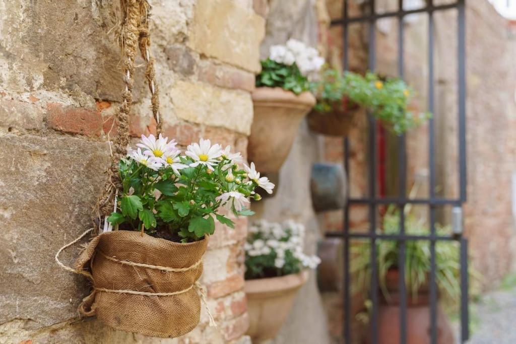 Corte Paolina - Charming Courtyard Inside Lucca Luaran gambar
