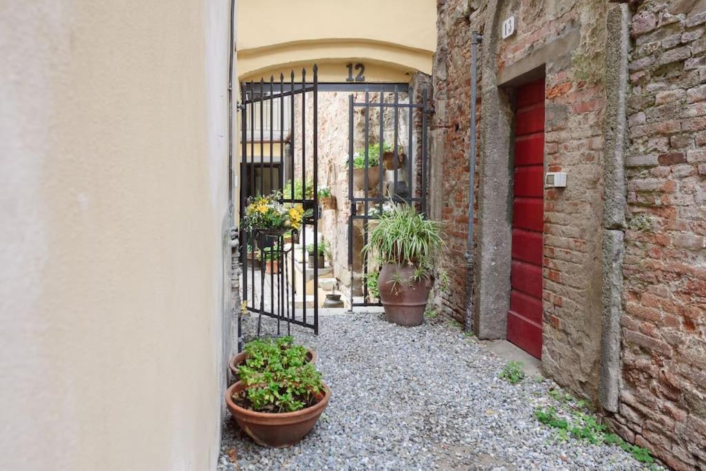 Corte Paolina - Charming Courtyard Inside Lucca Luaran gambar