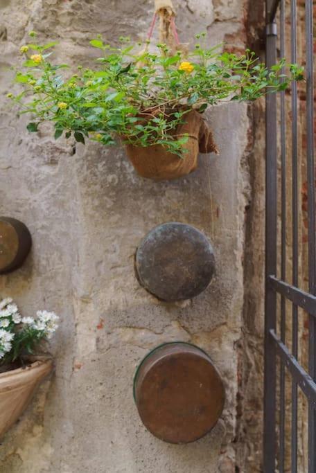 Corte Paolina - Charming Courtyard Inside Lucca Luaran gambar